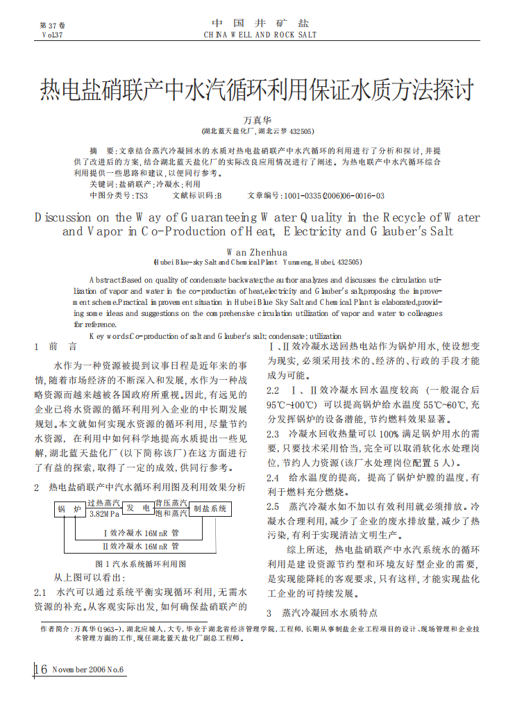 熱電鹽硝聯(lián)產(chǎn)中水汽循環(huán)利用保證水質(zhì)方法探討_00.png